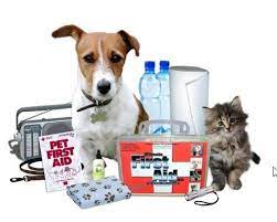 June is National Pet Preparedness Month. Here are some tips to keep your pet safe during a disaster.