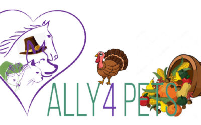 Celebrate a Pet-Friendly Thanksgiving and Ensure Pet Safety with Our Professional Pet Sitting Services