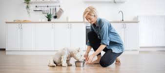 The Benefits of Multiple Daily Visits for Pet Sitting